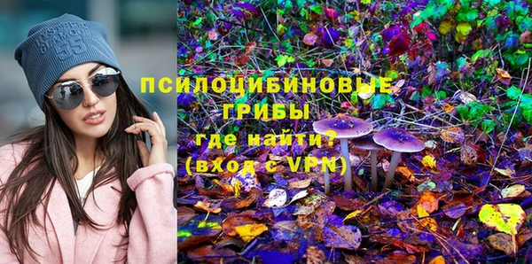 сатива Протвино