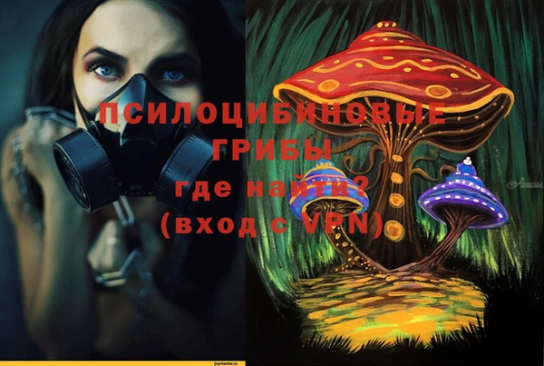 apvp Баксан