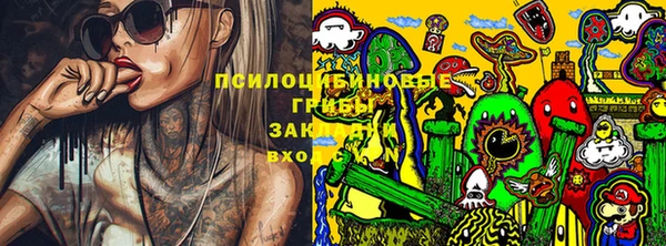 метадон Приозерск