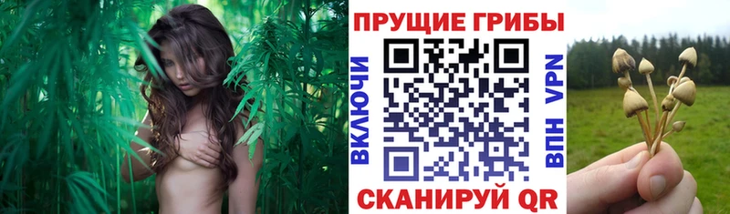 Псилоцибиновые грибы мухоморы  Каменск-Шахтинский 
